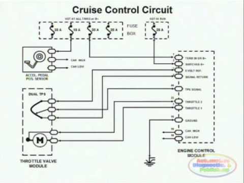 08 infiniti qx56 adaptive cruise wiring diagram