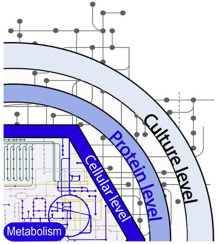 1017238 wiring diagram