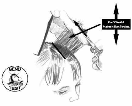 180 degree haircut diagram