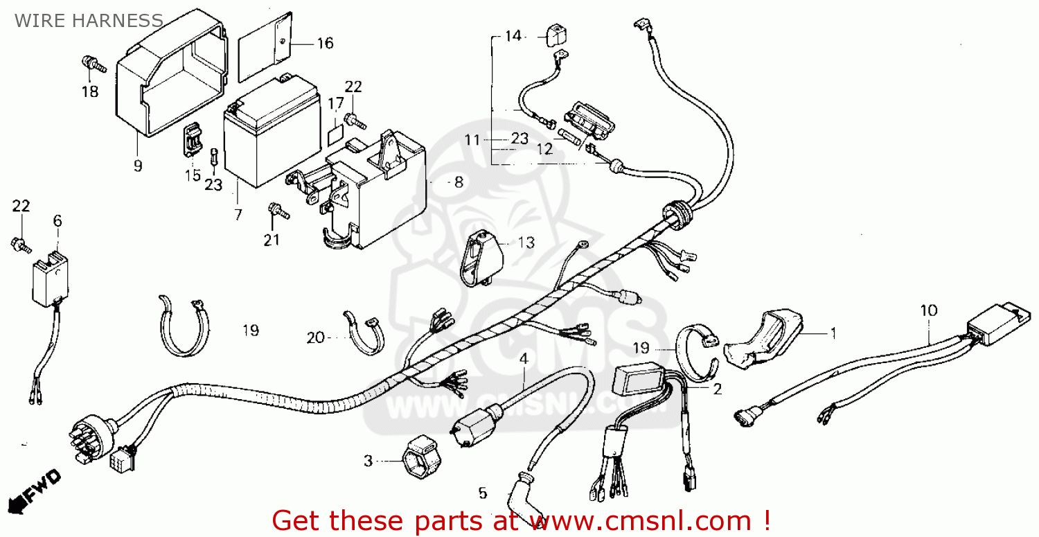 1986 tlr 200 redlex wiring diagram