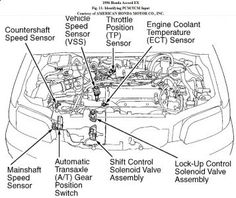 1992 honda accord transmission shifter wiring diagram