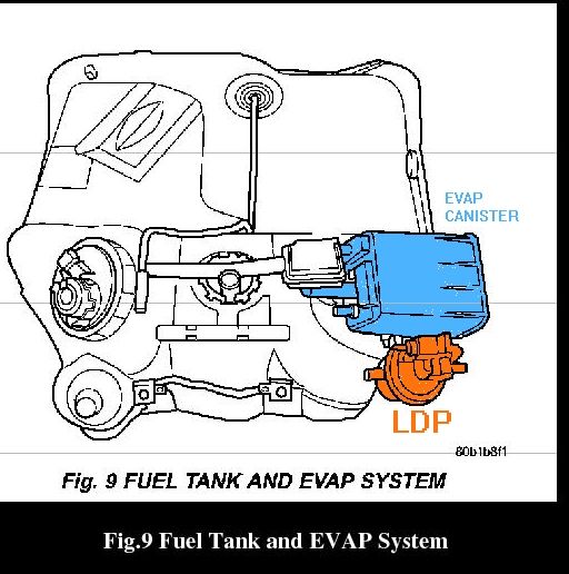 2002 jeep wrangler evap system diagram