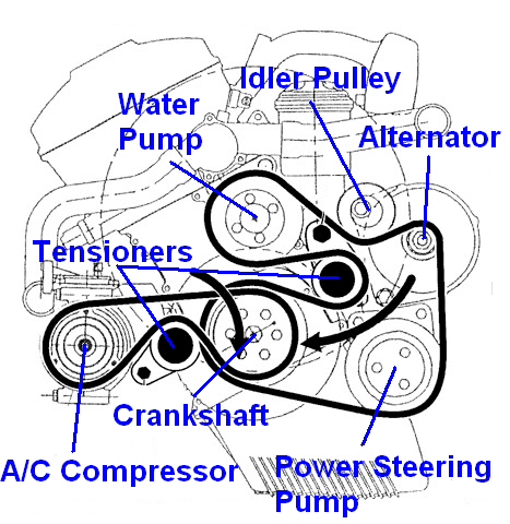 2003 bmw 325i serpentine belt diagram