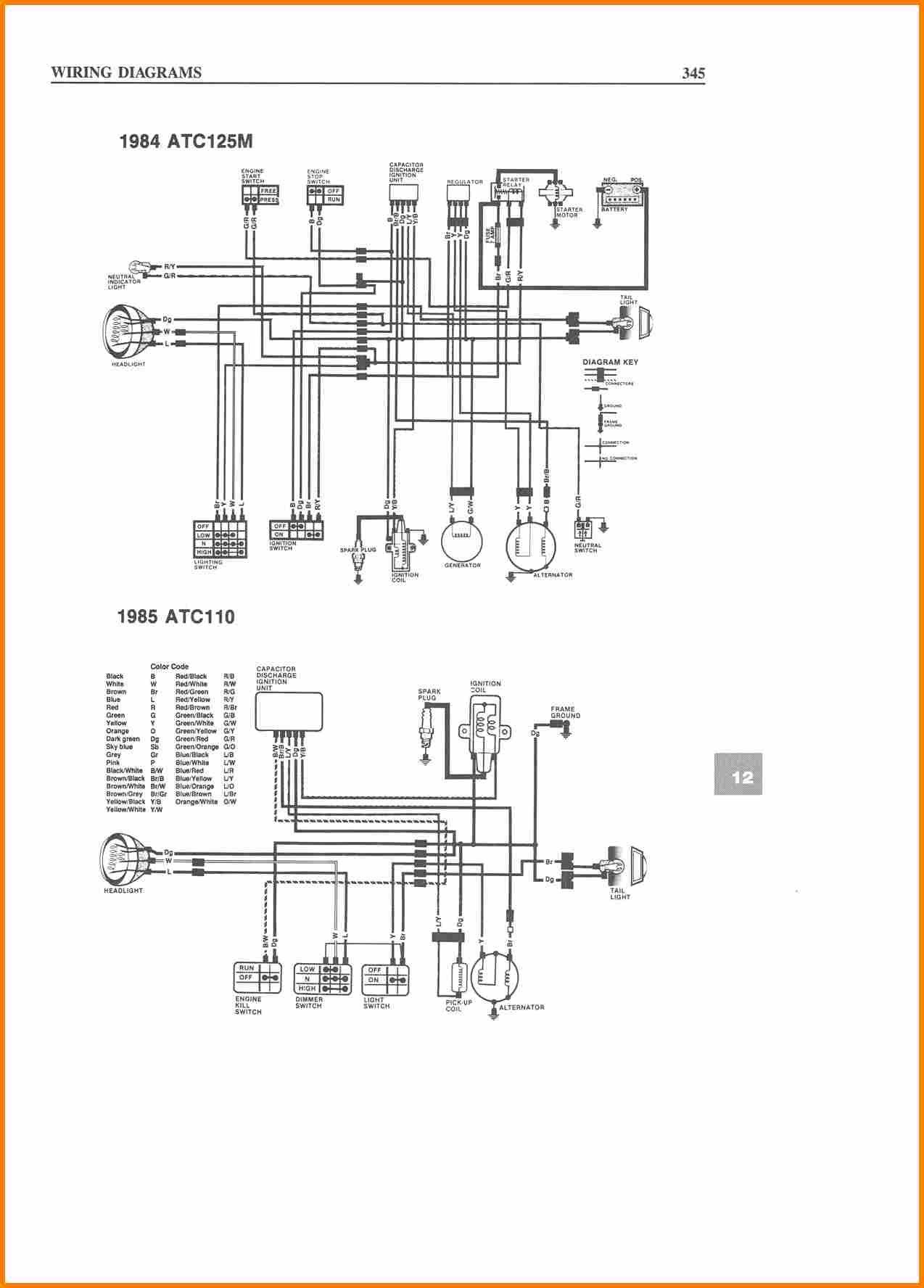 2004 taos trailer wiring diagram