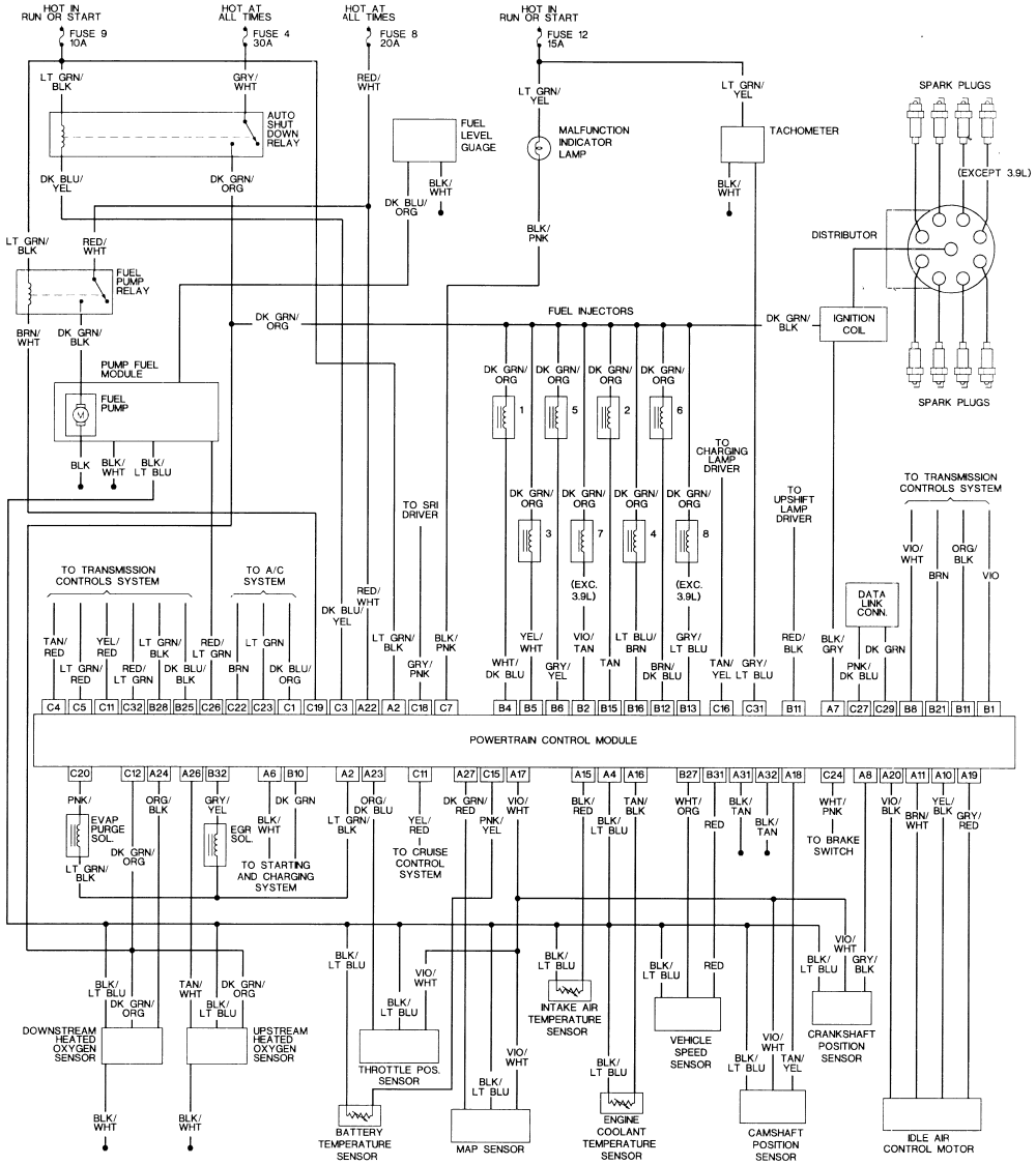 2005 dodge dakota speaker front mondual controlorange white wiring diagram