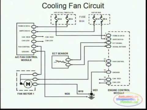 2005 dodge neon sxt 2.0 dual radiator cooling fan wiring diagram