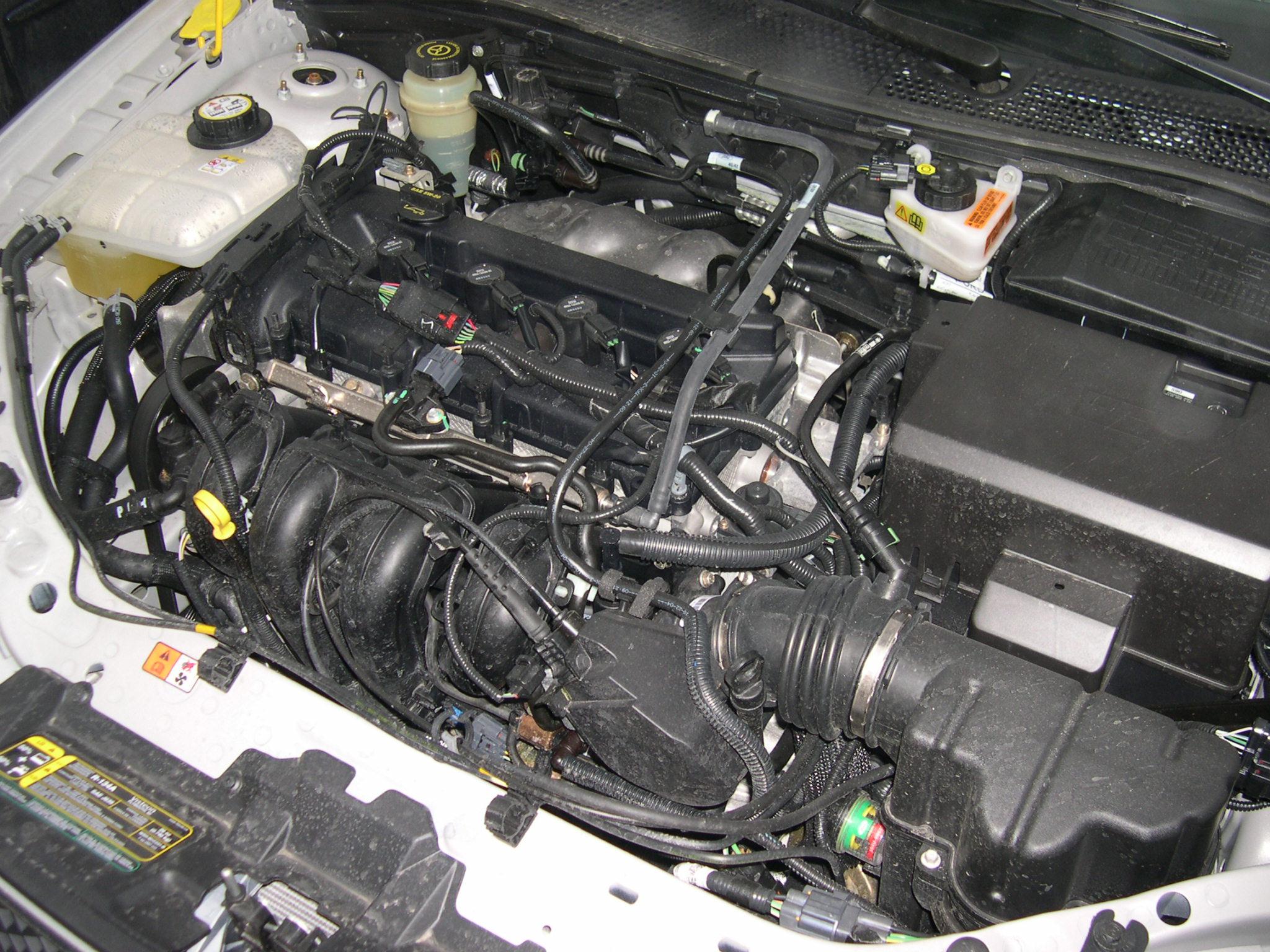 2005 ford focus zx4 st 2.3 alternator wiring diagram