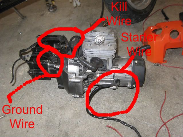 49cc Pocket Bike Wiring Diagram