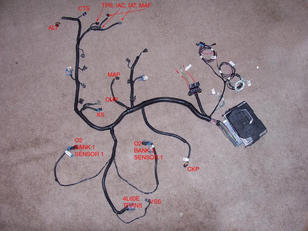 5.3 stand alone wiring harness diagram