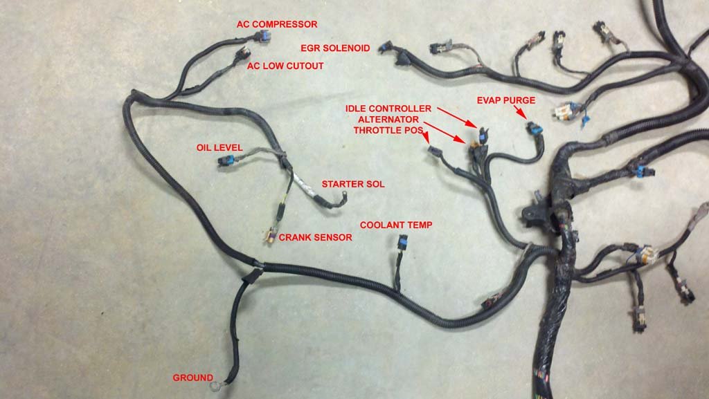 5.3 stand alone wiring harness diy