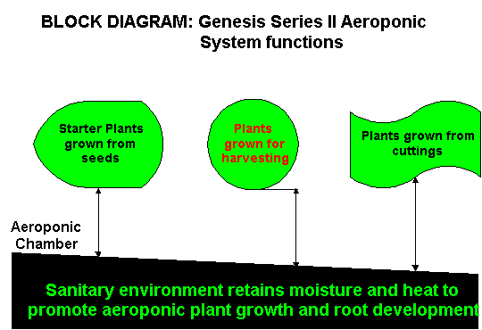 aeroponics diagram