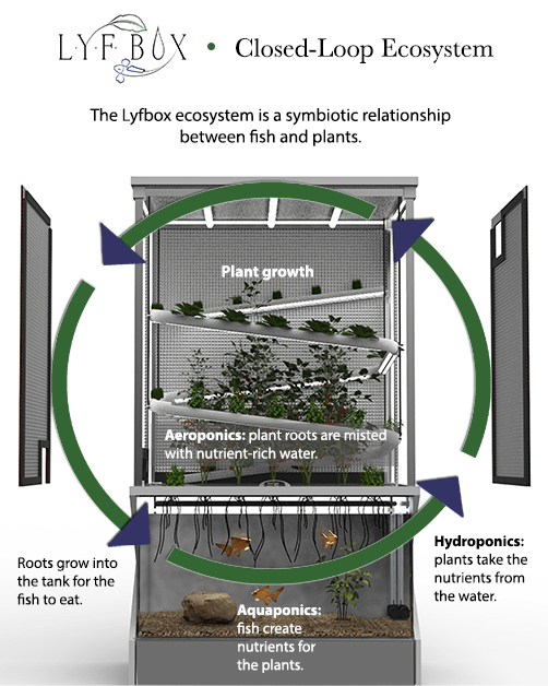 aeroponics diagram