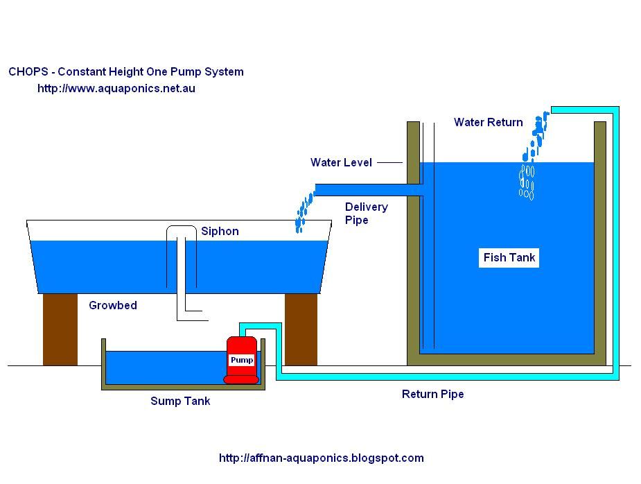 aquaponics plumbing diagram