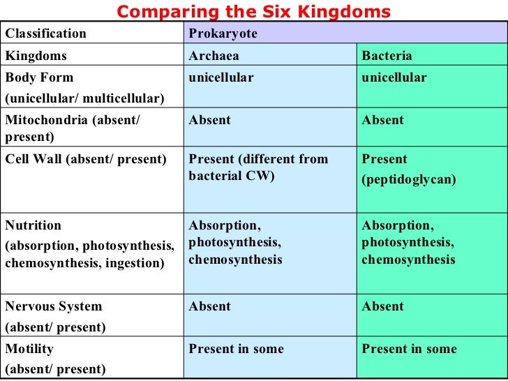 archaebacteria diagram