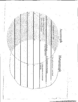 autotrophs and heterotrophs venn diagram