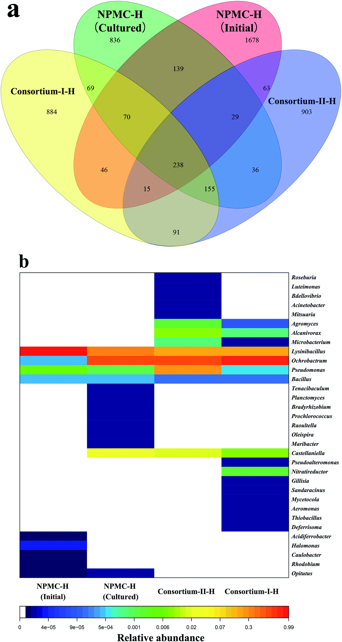 autotrophs vs heterotrophs venn diagram