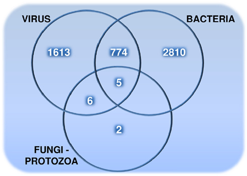 bacteria virus venn diagram
