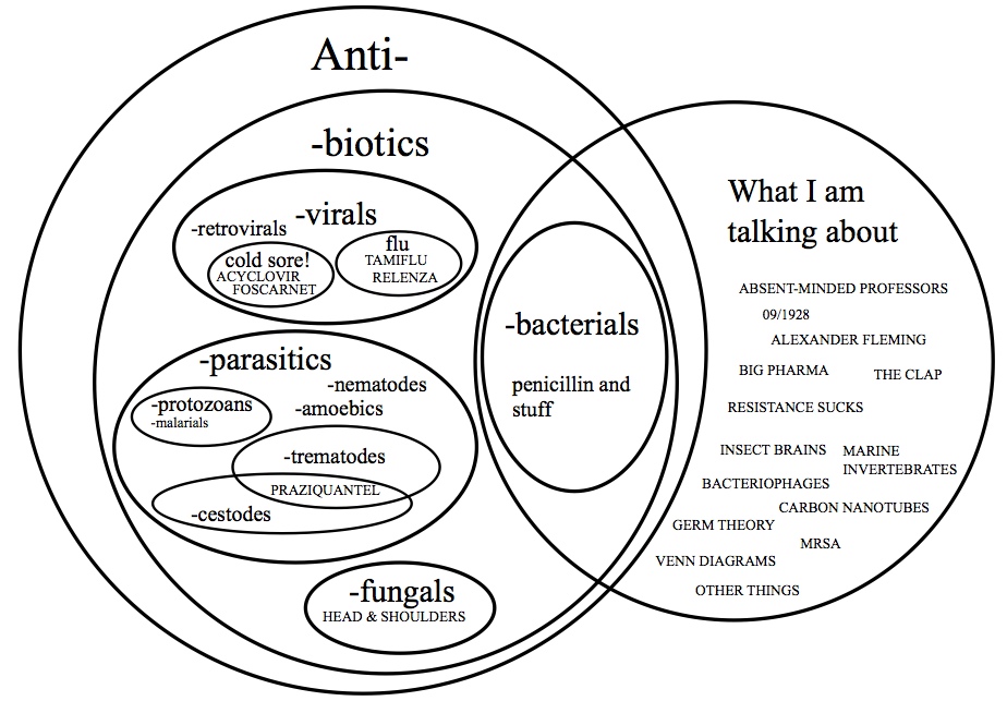 bacteria virus venn diagram