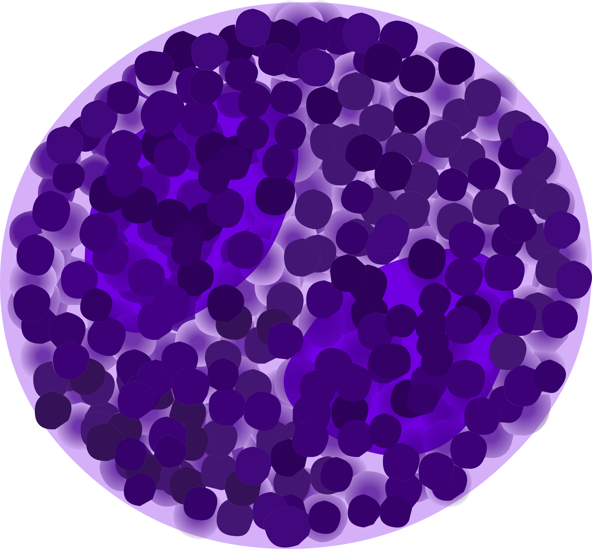 basophil diagram