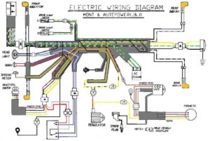 batavus hs50 deluxe wiring diagram
