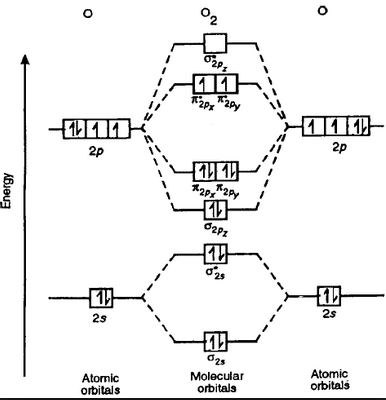 bh2 molecular orbital diagram