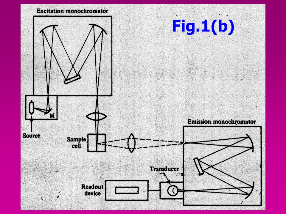 block diagram of fluorometer