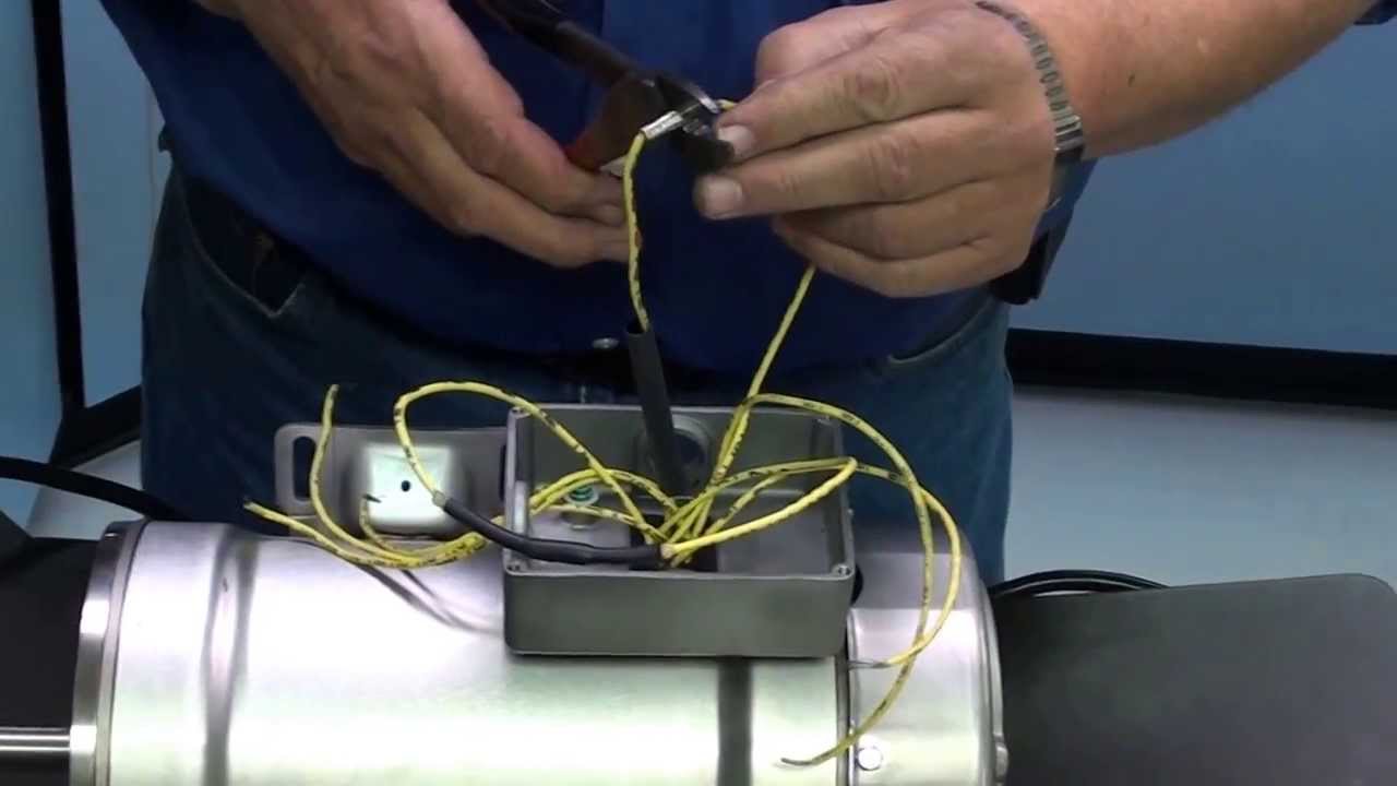 bluffton motor works wiring diagram