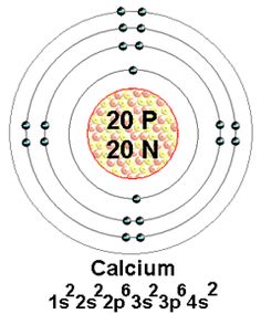 bohr diagram for calcium