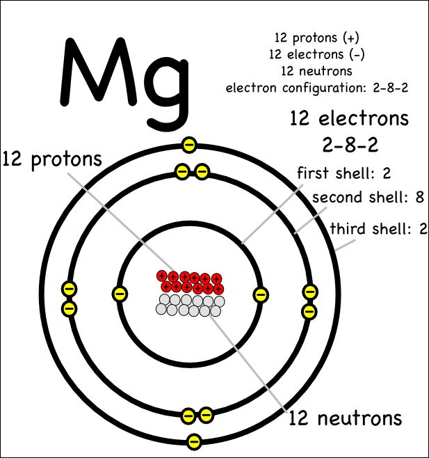 bohr diagram for magnesium