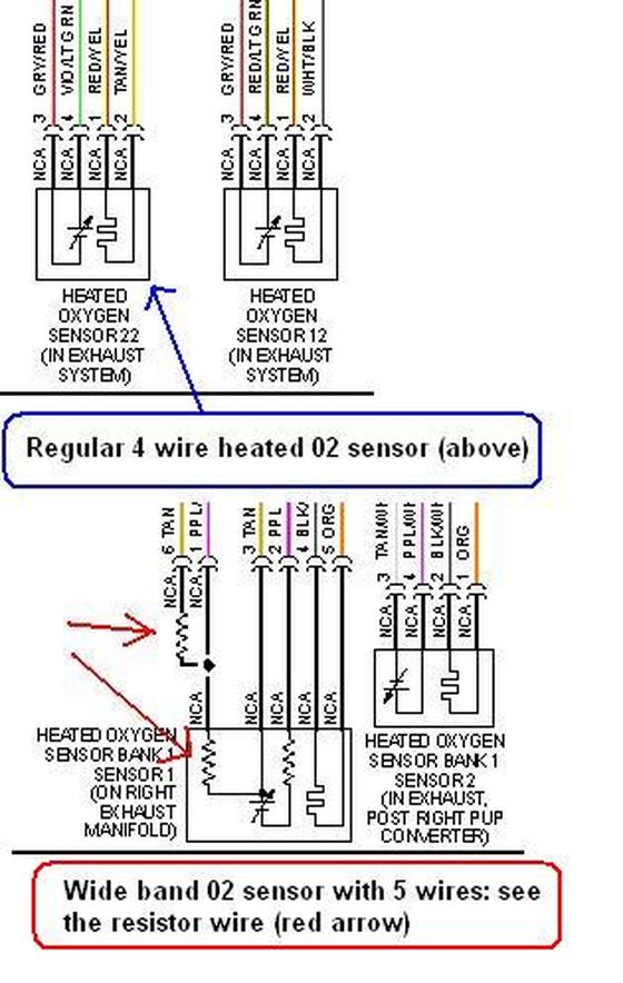 bosch wideband o2 sensor wiring diagram