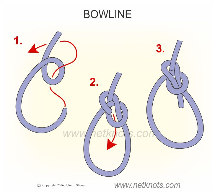 bowline knot diagram