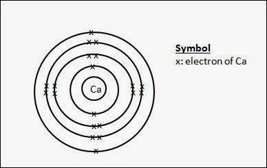 calcium bohr diagram