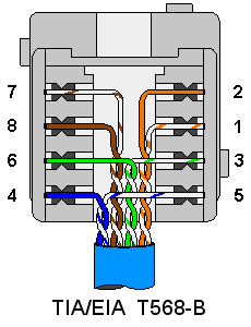 cat6 faceplate wiring diagram