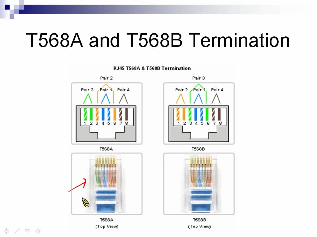 Cat 6 Wiring Diagram T568B from schematron.org