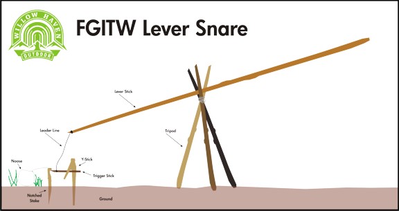 chipmunk burrow diagram