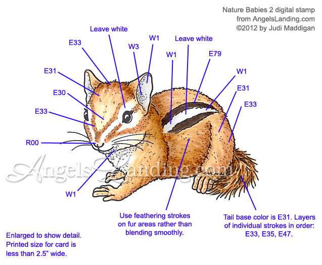 chipmunk den diagram