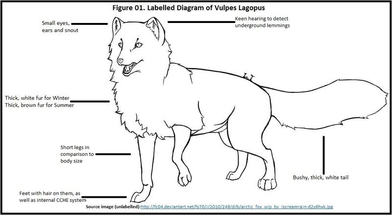 chipmunk den diagram