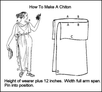 chiton diagram