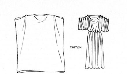 chiton diagram