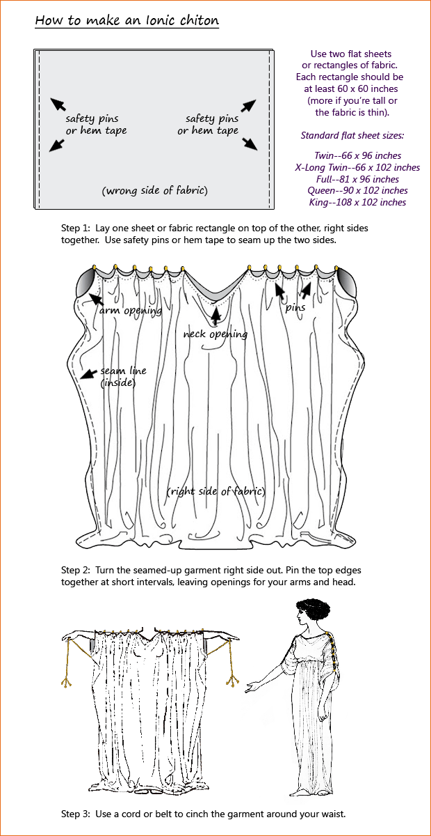 chiton diagram