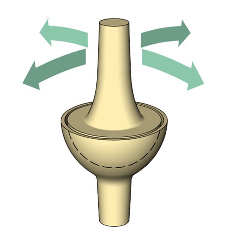 condyloid joint diagram