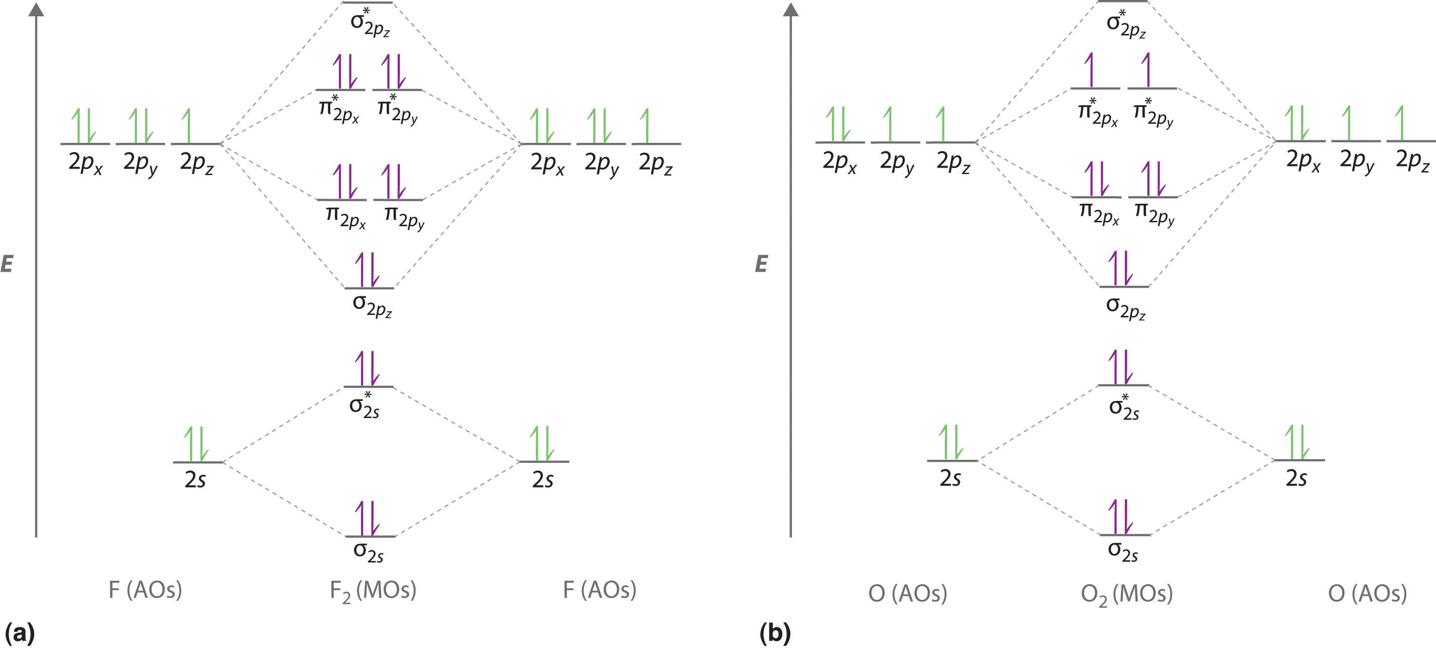 construct the molecular orbital diagram for h2 and then identify the bond order.