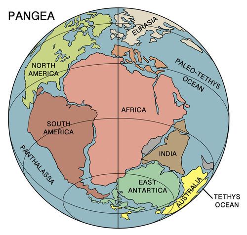 continental drift vs plate tectonics venn diagram