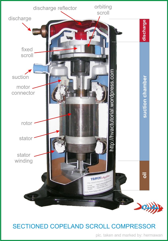 Copeland Scroll Compressor Wiring Diagram Wiring Diagram Pictures