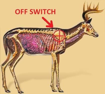 coyote vitals diagram