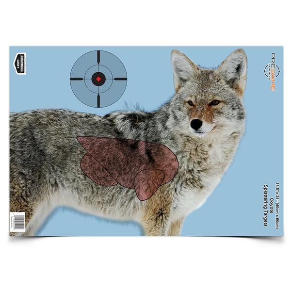 coyote vitals diagram