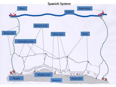 crab trotline diagram