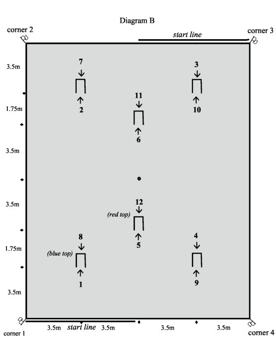 croquet layout diagram