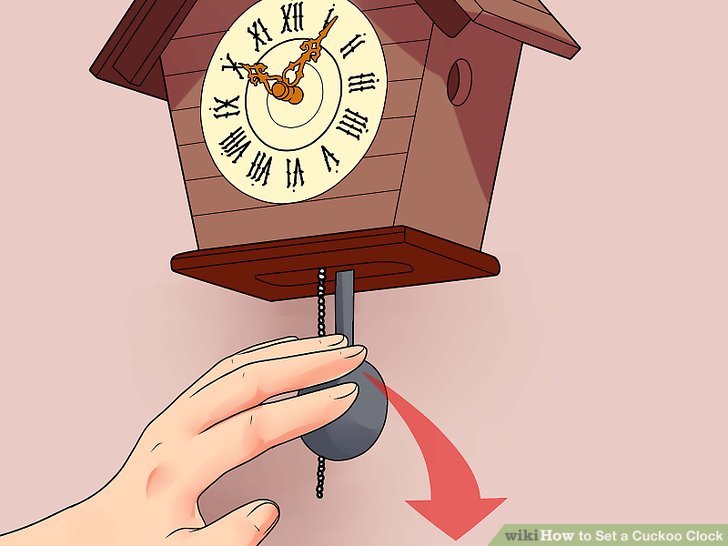 cuckoo clock movements diagram