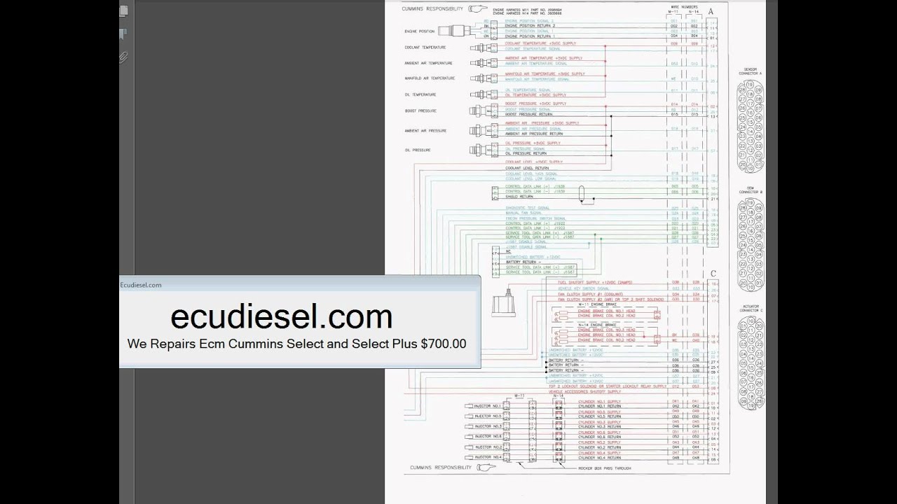 cummins n14 ecm wiring diagram